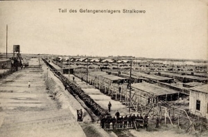 Strzałkowo - Reprodukcja 22197