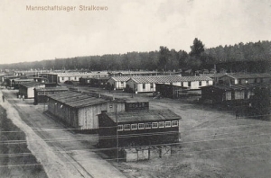 Strzałkowo - Reprodukcja 22199