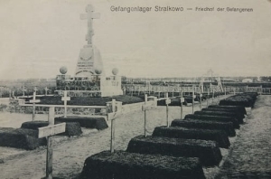 Strzałkowo - Reprodukcja 22200