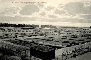 Strzałkowo - Reprodukcja 22201