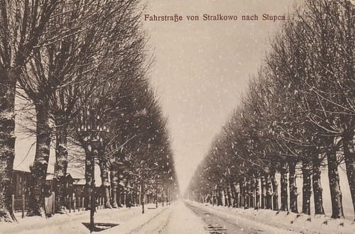 nowe-22206.jpg
