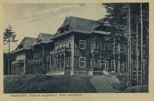 Brzozów Dom Zdrojowy - Reprodukcja 22222