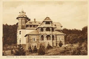 Brzozów - Reprodukcja 22225