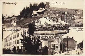 Brzozów widokowa - Reprodukcja 22226