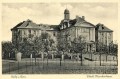nowe-22278.jpg