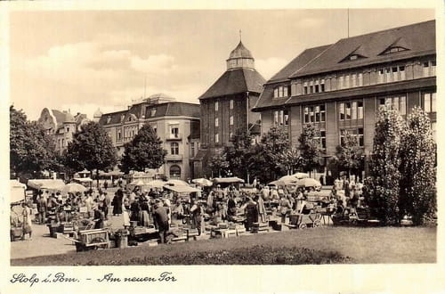 nowe-22354.jpg