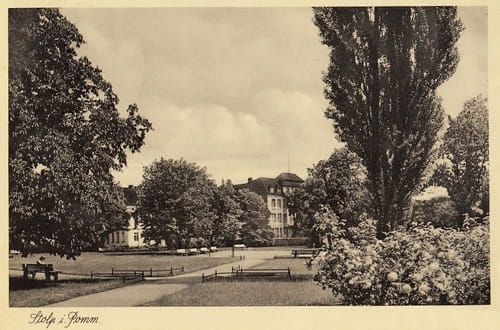 nowe-22372.jpg