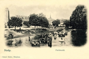 Słupsk - Reprodukcja 22415