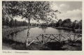 nowe-22439.jpg