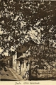 nowe-15681.jpg