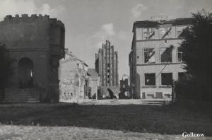 Goleniów - Reprodukcja 22500