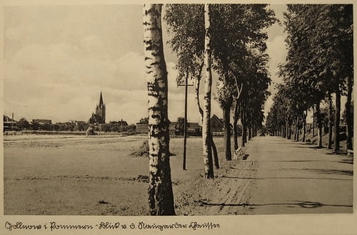 nowe-22528.jpg