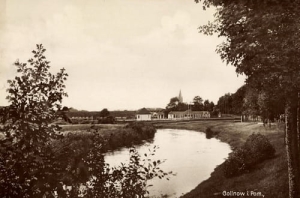 Goleniów - Reprodukcja 22529