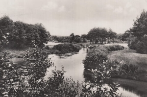 Goleniów - Reprodukcja 22541