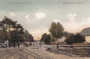 Iłowo Osada - Reprodukcja 22592
