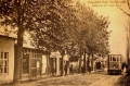 nowe-22631.jpg