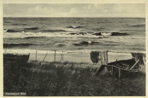 Unieście plaża - Reprodukcja 22633