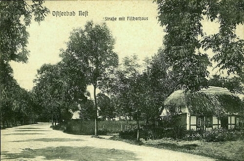 nowe-22656.jpg