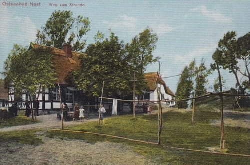 nowe-22659.jpg