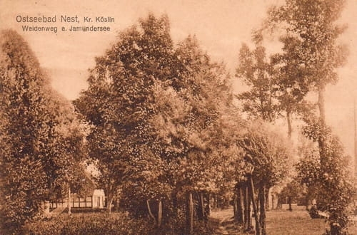 nowe-22669.jpg