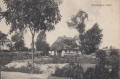 nowe-22672.jpg