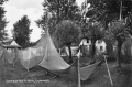 nowe-22677.jpg