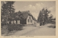 nowe-22680.jpg