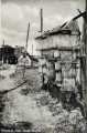 nowe-22681.jpg