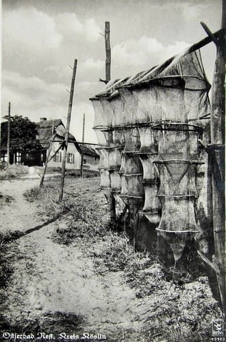 nowe-22681.jpg
