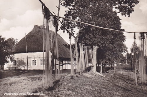 nowe-22682.jpg