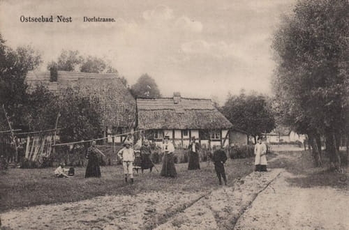 nowe-22683.jpg