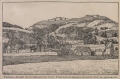 nowe-22742.jpg