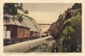 nowe-22744.jpg