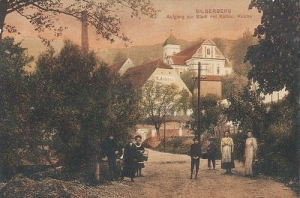 Srebrna Góra - Reprodukcja 22749