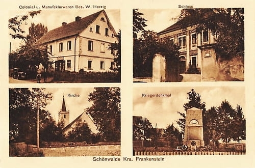 nowe-22774.jpg