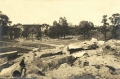 nowe-22811.jpg
