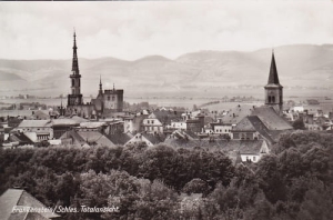 Ząbkowice Śląskie - Reprodukcja 22860