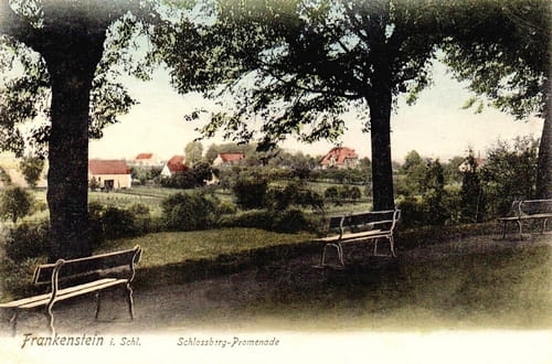 nowe-22868.jpg