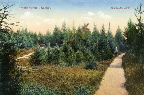nowe-22917.jpg