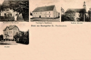 Braszowice widokowa - Reprodukcja 22946