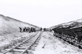 nowe-23029.jpg