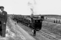 nowe-23032.jpg