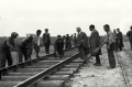 nowe-23044.jpg