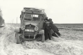 nowe-23057.jpg