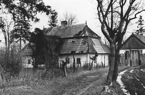 nowe-23065.jpg
