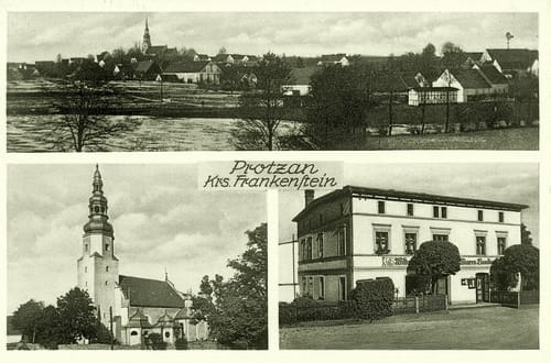 nowe-23096.jpg