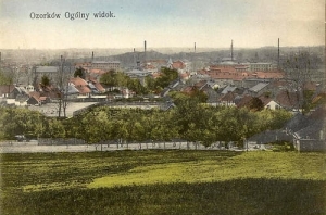 Ozorków panorama - Reprodukcja 23141