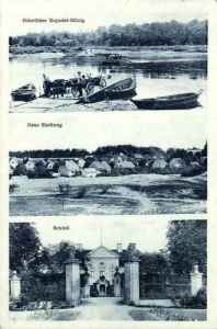 Bojadła widokowa - Reprodukcja 23164