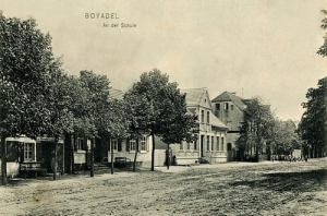 Bojadła - Reprodukcja 23169