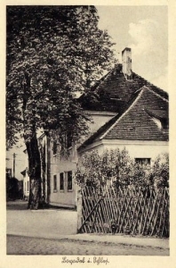 Bojadła - Reprodukcja 23170